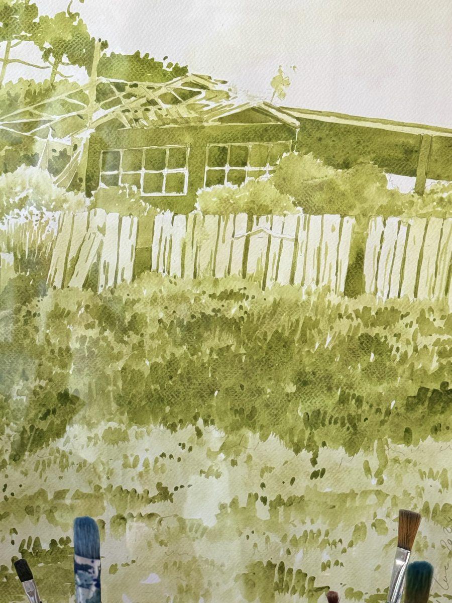 1up1 bertrand cure illustrations bassin arcachon