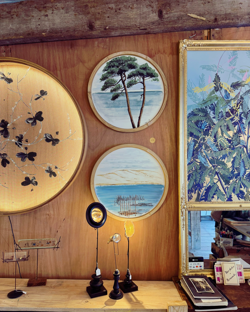 Casa Luci, les fresques murales des pins du Bassin d’Arcachon