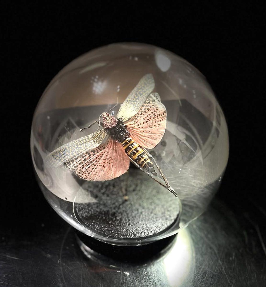 Tout en Globe : cabinet de curiosités et objets sous globe au Bouscat